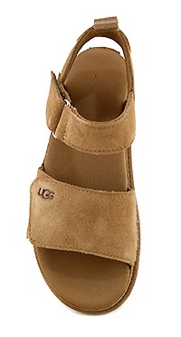 GOLDENSTAR CHESTNUT - UGG