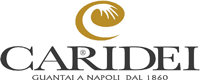 Logo Caridei