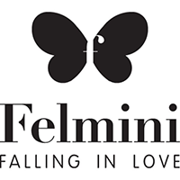 Logo felmini