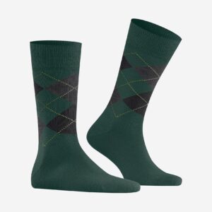 EDINBURGH FOREST – Image 2